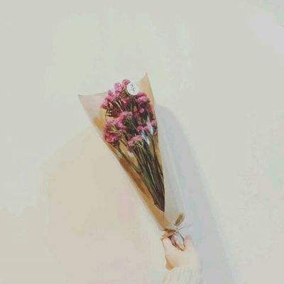 无双小师妹变态版下载